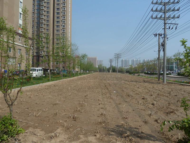 昔日“垃圾场”今天展新颜 滨州将开展城区裸露土地治理
