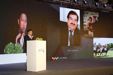 青岛国际马产业峰会开幕 业界精英共商马业发展新方向