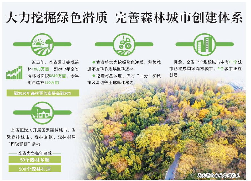 山东今年造林150万亩 2020年森林覆盖率提至20%