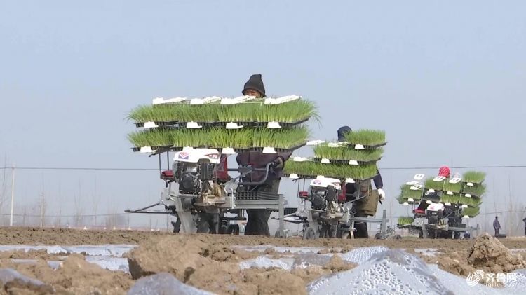 山东这5项农业生产“黑科技”你绝对没见过