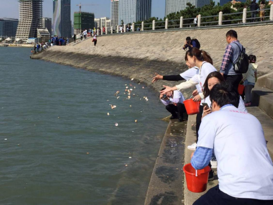 “保护海洋，让贝壳回家”大型公益活动在青岛启动